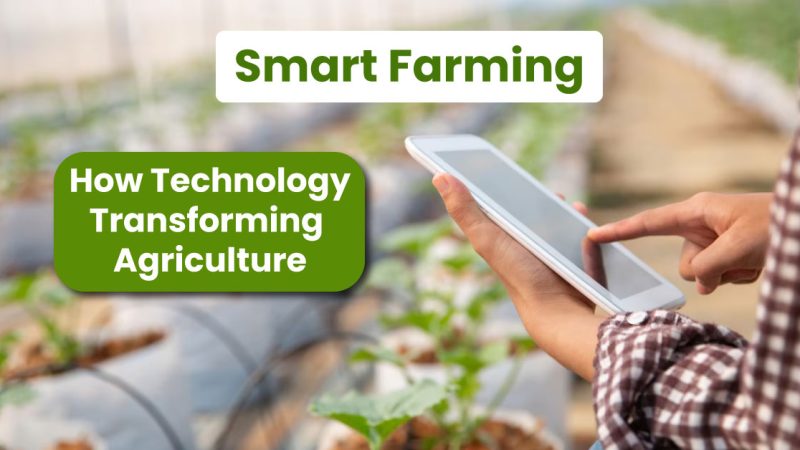 Smart Farming: How Technology is Transforming Agriculture