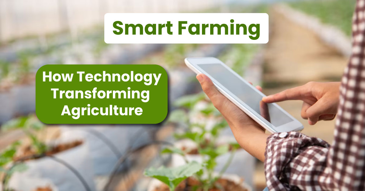 Smart Farming: How Technology is Transforming Agriculture